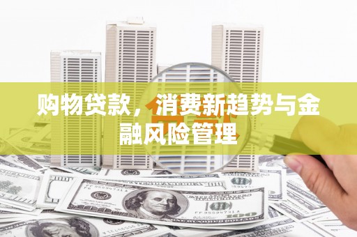 昆明购物贷款，消费新趋势与金融风险管理