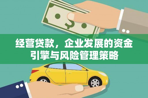 浔阳经营贷款，企业发展的资金引擎与风险管理策略