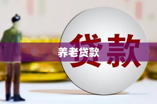 海兴养老贷款