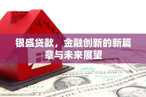 贞丰银盛贷款，金融创新的新篇章与未来展望