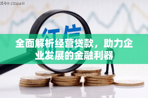 巩留全面解析经营贷款，助力企业发展的金融利器