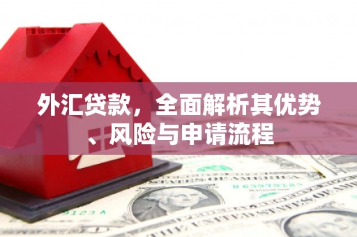 佳冬外汇贷款，全面解析其优势、风险与申请流程
