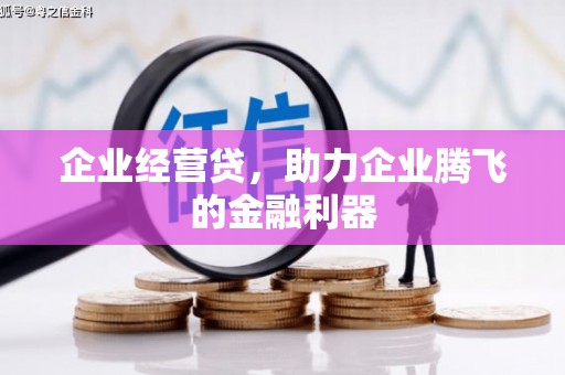 麦寮企业经营贷，助力企业腾飞的金融利器