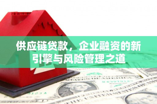 耒阳供应链贷款，企业融资的新引擎与风险管理之道