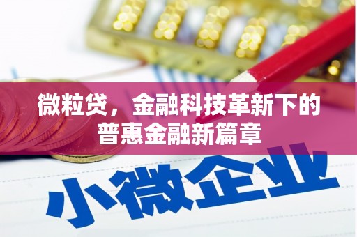 港南微粒贷，金融科技革新下的普惠金融新篇章