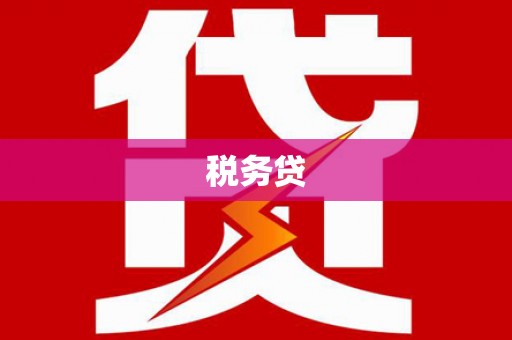 务川税务贷