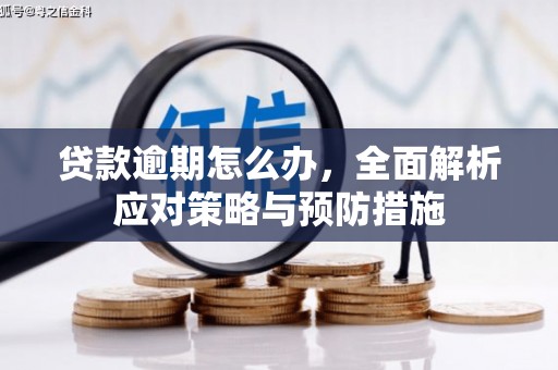 晋中贷款逾期怎么办，全面解析应对策略与预防措施
