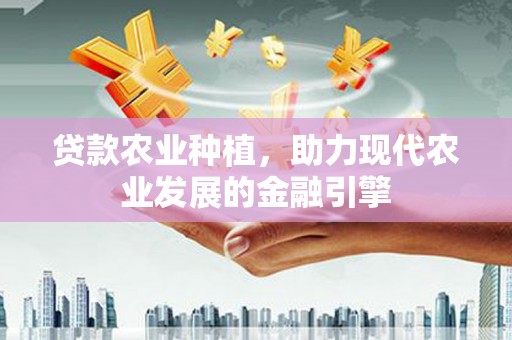 襄阳贷款农业种植，助力现代农业发展的金融引擎