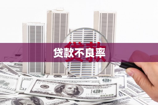 镇康贷款不良率