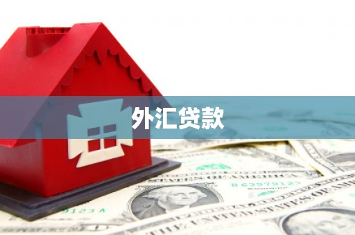 横山外汇贷款
