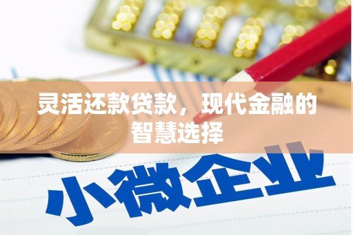 大溪灵活还款贷款，现代金融的智慧选择