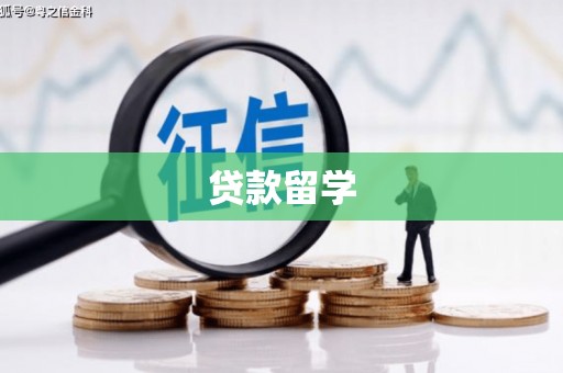长岭贷款留学