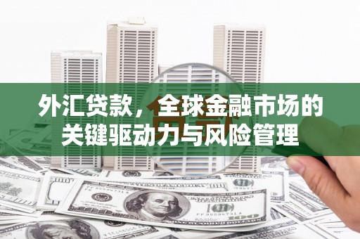 坪山新区外汇贷款，全球金融市场的关键驱动力与风险管理