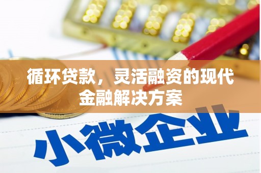 丰宁循环贷款，灵活融资的现代金融解决方案