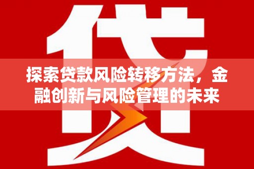 泸州探索贷款风险转移方法，金融创新与风险管理的未来