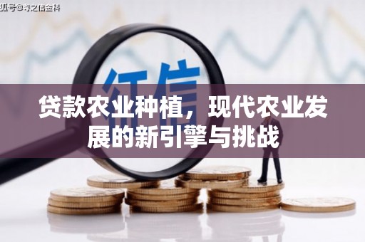 临海贷款农业种植，现代农业发展的新引擎与挑战