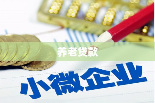 宜城养老贷款