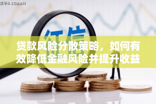 天元贷款风险分散策略，如何有效降低金融风险并提升收益