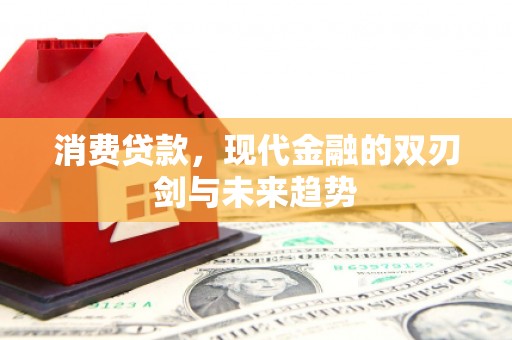海原消费贷款，现代金融的双刃剑与未来趋势