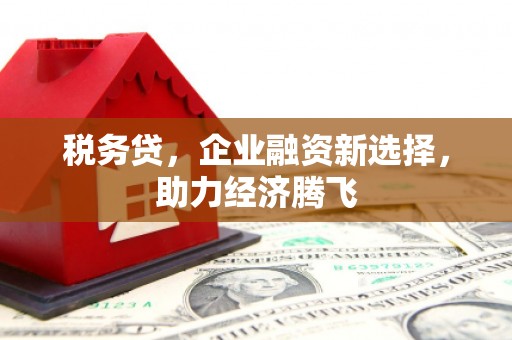 锡林郭勒税务贷，企业融资新选择，助力经济腾飞