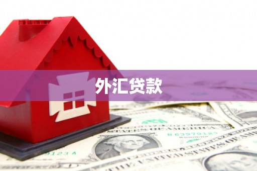 贺兰外汇贷款