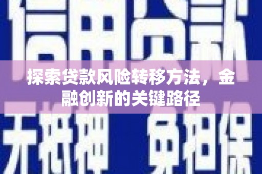 新庄探索贷款风险转移方法，金融创新的关键路径