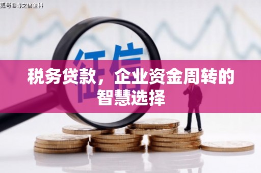 葫芦岛税务贷款，企业资金周转的智慧选择
