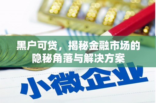 任城黑户可贷，揭秘金融市场的隐秘角落与解决方案