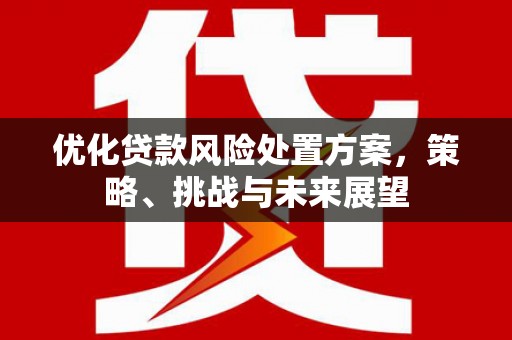 那曲优化贷款风险处置方案，策略、挑战与未来展望
