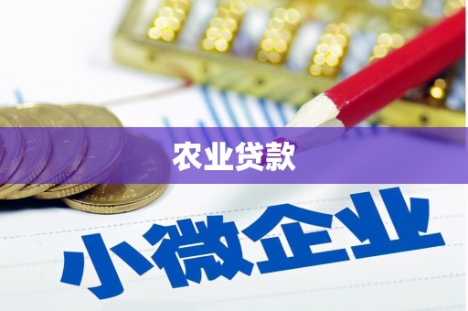 淮上农业贷款