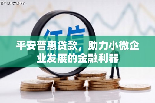务川平安普惠贷款，助力小微企业发展的金融利器