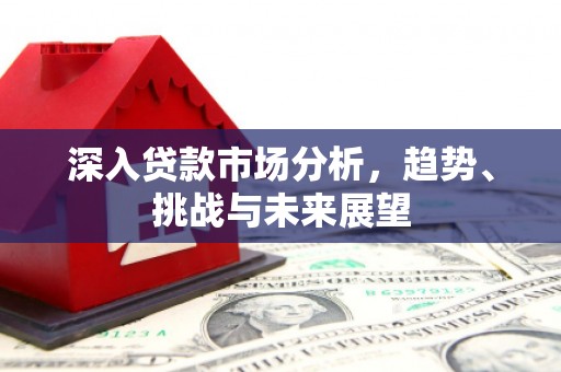海原深入贷款市场分析，趋势、挑战与未来展望