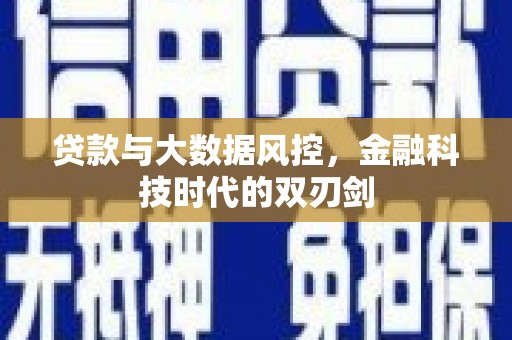 海安贷款与大数据风控，金融科技时代的双刃剑