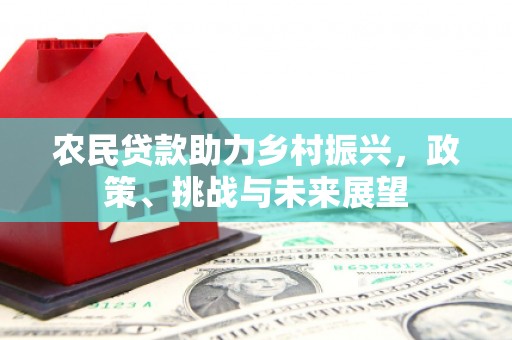 河池农民贷款助力乡村振兴，政策、挑战与未来展望