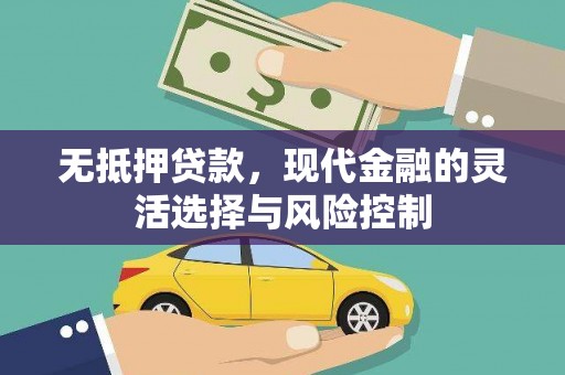 玉山无抵押贷款，现代金融的灵活选择与风险控制