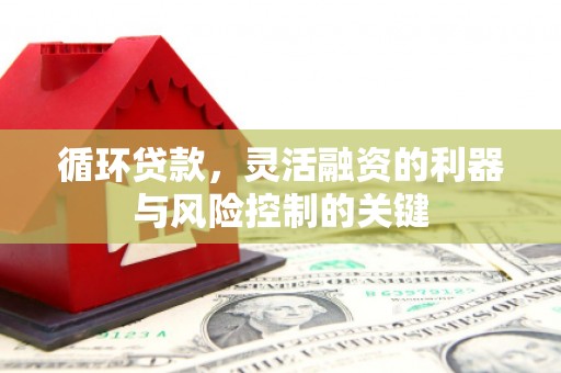 沈丘循环贷款，灵活融资的利器与风险控制的关键