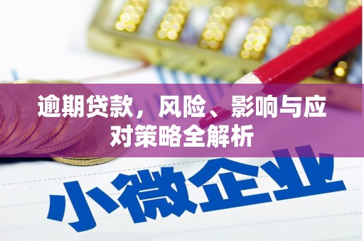 碑林逾期贷款，风险、影响与应对策略全解析