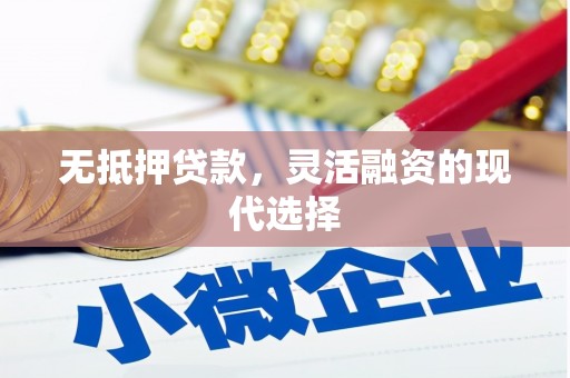 东石无抵押贷款，灵活融资的现代选择