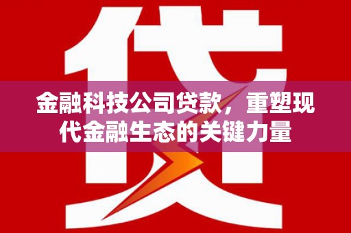 克山金融科技公司贷款，重塑现代金融生态的关键力量