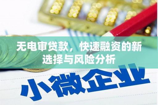 随县无电审贷款，快速融资的新选择与风险分析