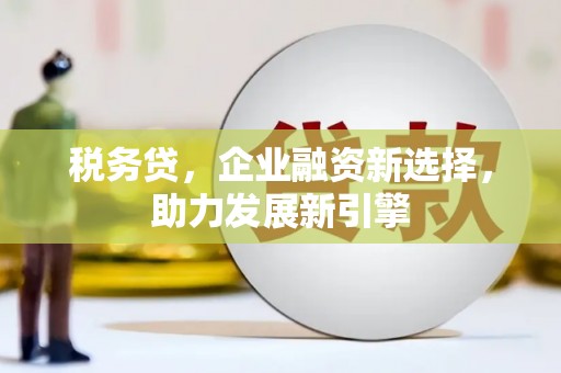 洪雅税务贷，企业融资新选择，助力发展新引擎