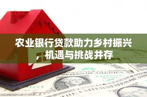 浪卡子农业银行贷款助力乡村振兴，机遇与挑战并存