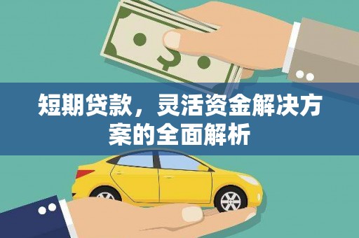 石龙短期贷款，灵活资金解决方案的全面解析
