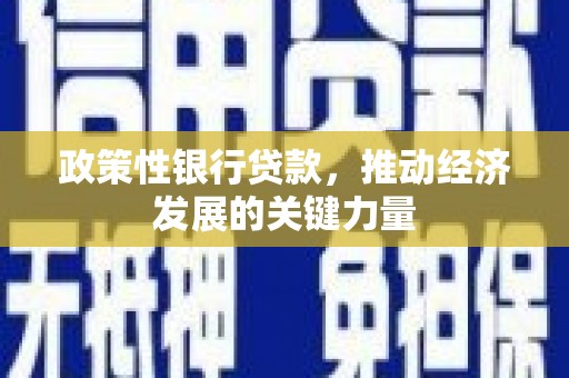 西区政策性银行贷款，推动经济发展的关键力量