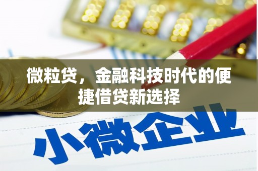 固原微粒贷，金融科技时代的便捷借贷新选择