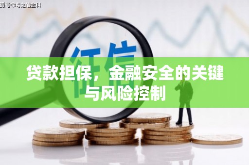 勐腊贷款担保，金融安全的关键与风险控制