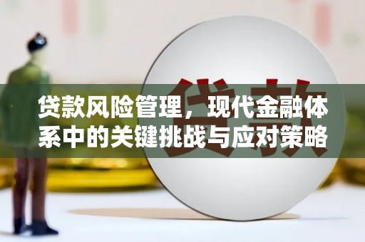 从化贷款风险管理，现代金融体系中的关键挑战与应对策略