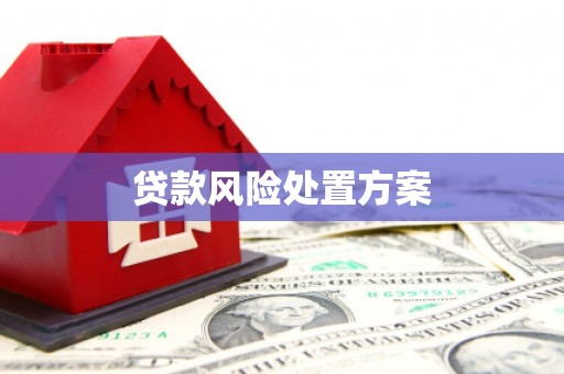 韩城贷款风险处置方案
