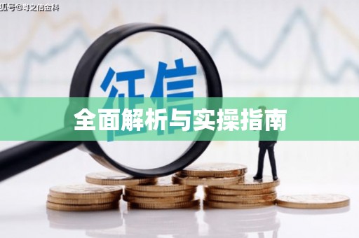 郸城全面解析与实操指南