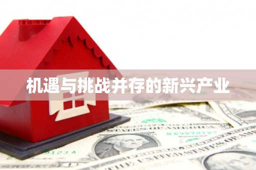 安南机遇与挑战并存的新兴产业